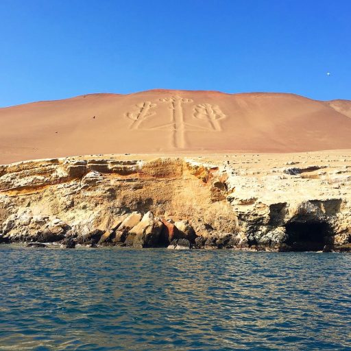 WhatsApp Image 2018-11-20 at 22.12.45