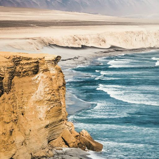 WhatsApp Image 2018-12-13 at 21.08.13 (1)