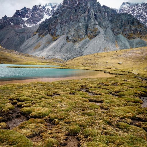 WhatsApp Image 2019-02-16 at 16.07.54