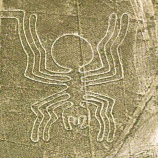 nazca4